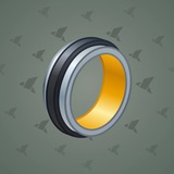 Bonded Ring #255