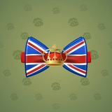 Bow Tie #1168 Bow Tie #1168