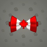 Bow Tie #1274 Bow Tie #1274