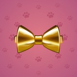 Bow Tie #1295 Bow Tie #1295