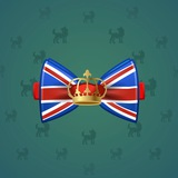 Bow Tie #1643 Bow Tie #1643
