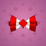 Bow Tie #1674 Bow Tie #1674