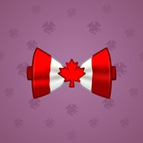 Bow Tie #2493