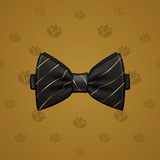 Bow Tie #263