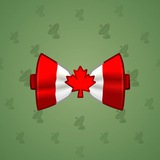 Bow Tie #2995 Bow Tie #2995