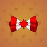 Bow Tie #3169 Bow Tie #3169