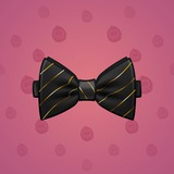 Bow Tie #339 Bow Tie #339