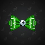 Bow Tie #3421 Bow Tie #3421