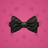 Bow Tie #3679 Bow Tie #3679