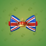 Bow Tie #4251 Bow Tie #4251