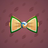 Bow Tie #4502