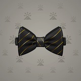 Bow Tie #4707 Bow Tie #4707