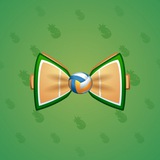 Bow Tie #4879 Bow Tie #4879