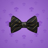 Bow Tie #4934 Bow Tie #4934