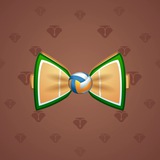 Bow Tie #5004