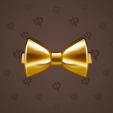 Bow Tie #5049 Bow Tie #5049
