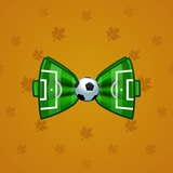 Bow Tie #5250