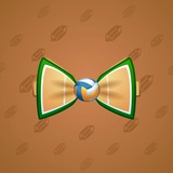 Bow Tie #5806 Bow Tie #5806