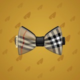 Bow Tie #6006