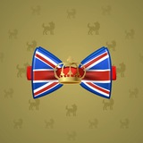 Bow Tie #6870 Bow Tie #6870