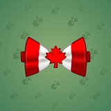 Bow Tie #898 Bow Tie #898