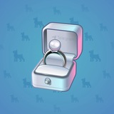 Diamond Ring #10999