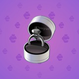 Diamond Ring #11742