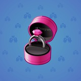 Diamond Ring #12388