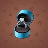 Diamond Ring #13023