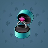 Diamond Ring #13091