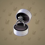 Diamond Ring #13689