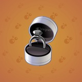 Diamond Ring #13792