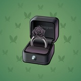 Diamond Ring #14135