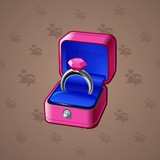 Diamond Ring #1418