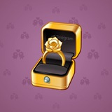 Diamond Ring #14241