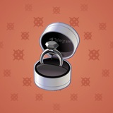 Diamond Ring #14278
