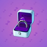 Diamond Ring #14398