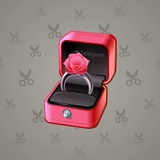 Diamond Ring #14671