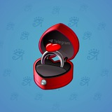 Diamond Ring #14902