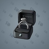 Diamond Ring #1499
