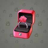 Diamond Ring #15095 Diamond Ring #15095