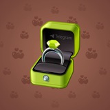 Diamond Ring #15220