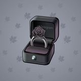 Diamond Ring #15507