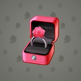 Diamond Ring #15510