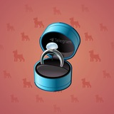 Diamond Ring #15893