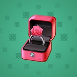 Diamond Ring #16650