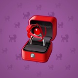 Diamond Ring #16704