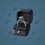 Diamond Ring #16833