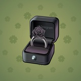 Diamond Ring #17198