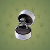 Diamond Ring #17469
